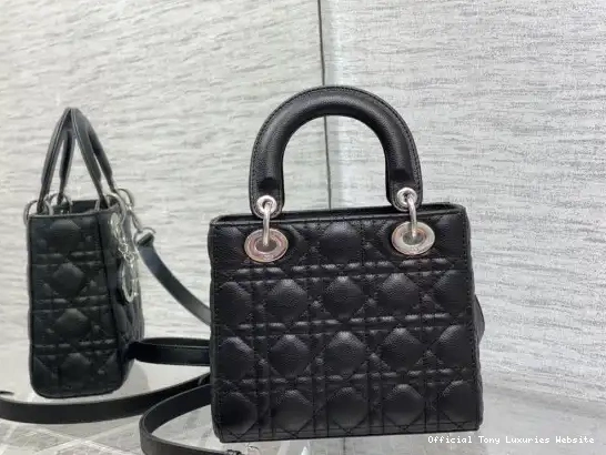 Tony Luxuries Lady Calfskin-20-16.5-8CM Small diro 0520